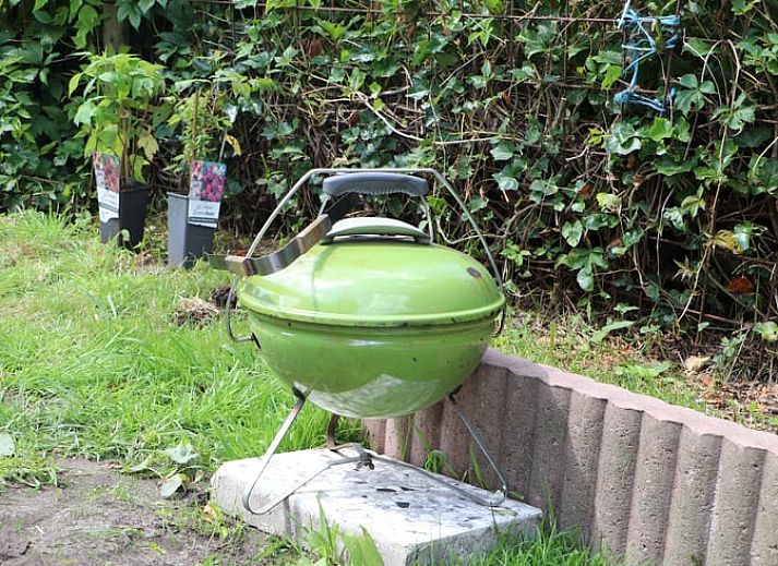 Unterkunft 340304 - Ferienhaus Noordwest Groningen - Huisje in Pieterburen