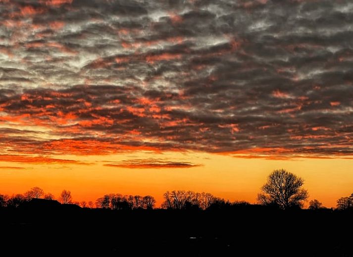 Unterkunft 340304 - Ferienhaus Noordwest Groningen - Huisje in Pieterburen