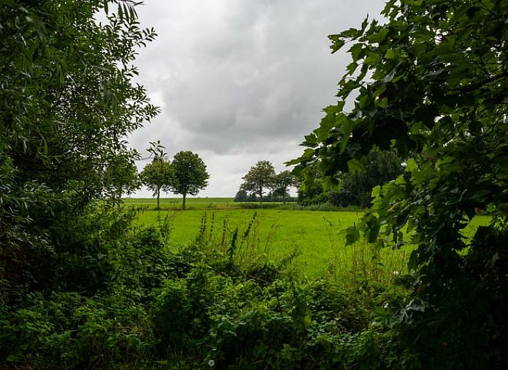 Esszimmer von Cottage in Kloosterburen, Ferienhaus in Groningen mit Holztisch und Stuehlen.