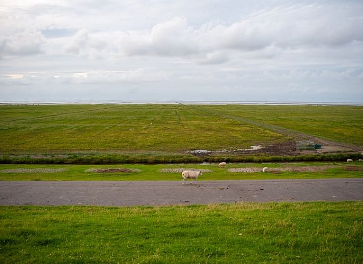 Geraeumiges Wohnzimmer des Huisje in Kloosterburen, Ferienhaus in Groningen mit Sitzecke.