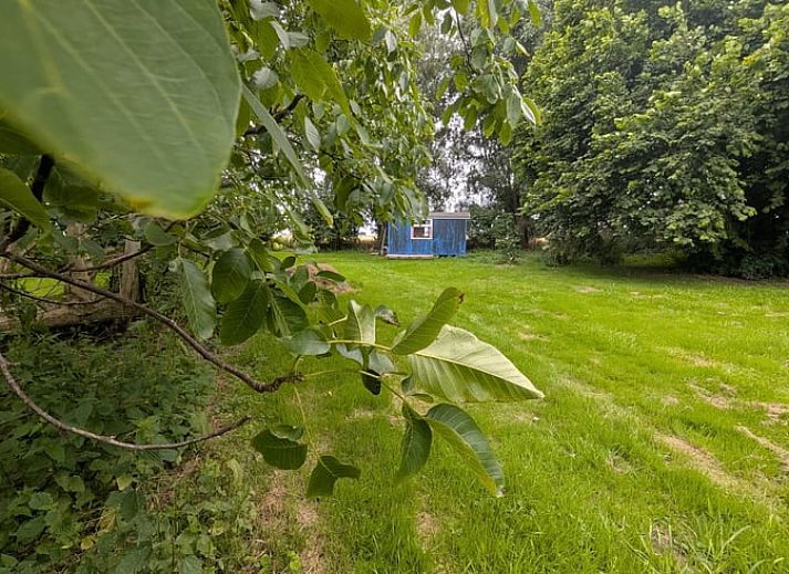 Unterkunft 340712 - Ferienhaus Noordwest Groningen - Vakantiehuisje in Warfhuizen