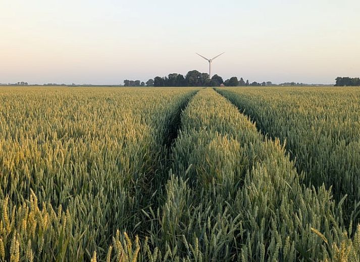 Unterkunft 340712 - Ferienhaus Noordwest Groningen - Vakantiehuisje in Warfhuizen