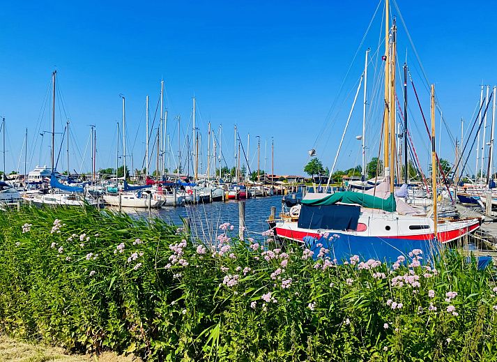 Guest house 341317 - Holiday property Noordwest Groningen - Vakantiehuis Rietwoning 17