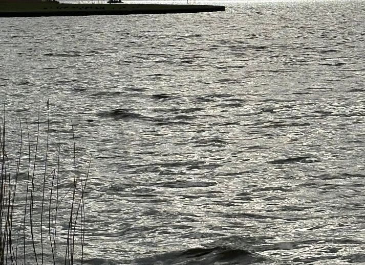 Guest house 341319 - Apartment Noordwest Groningen - Appartement Chalet in Strandnähe