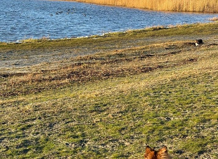 Guest house 341319 - Apartment Noordwest Groningen - Appartement Chalet in Strandnähe