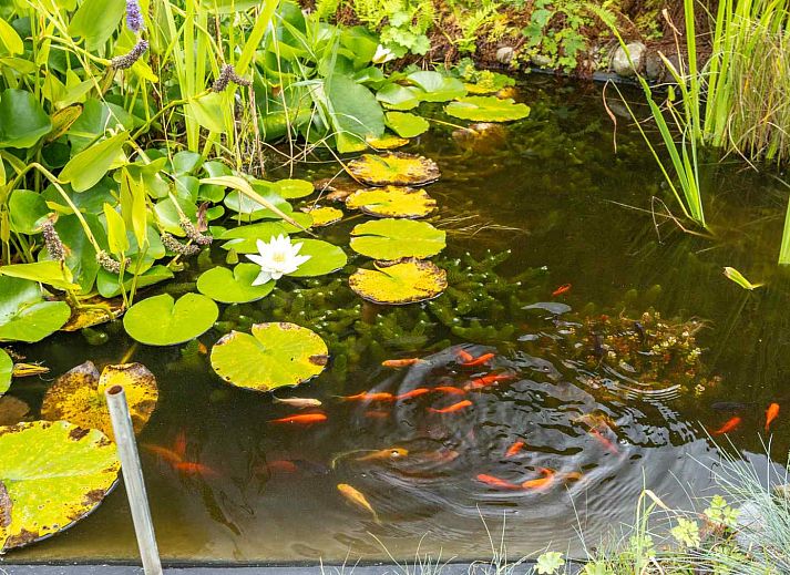 Eetkamer van GR032 vakantiewoning in Lauwersoog, met houten tafel en stoelen.