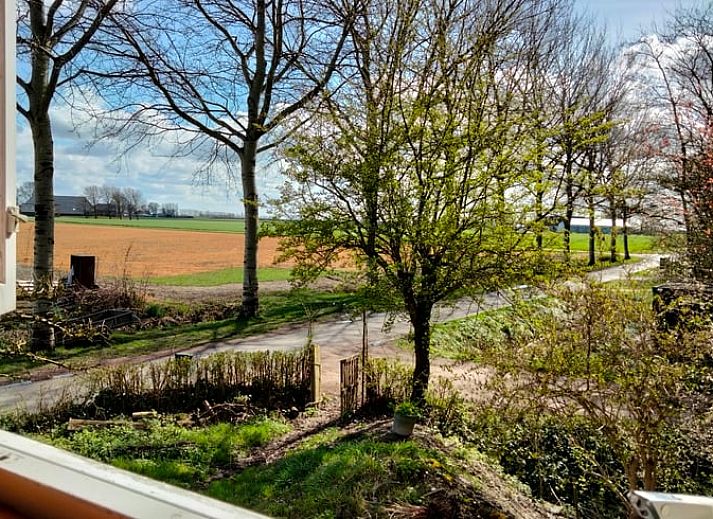 Vakantiehuisje in Vierhuizen, charmant wit huisje in Noordwest Groningen met rode dakpannen en groene omgeving.
