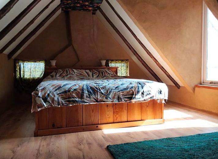 Uitzicht vanuit de slaapkamer van Vakantiehuisje in Vierhuizen, met groene bomen en landelijke weg.