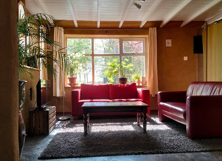 Uitzicht vanuit de slaapkamer van Vakantiehuisje in Vierhuizen, met groene bomen en landelijke weg.