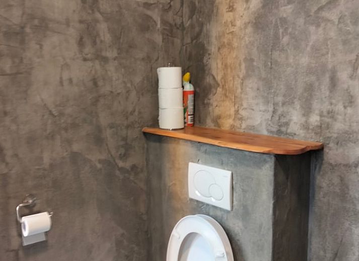 Prachtig landschap rondom Vakantiehuisje in Vierhuizen, Noordwest Groningen, met velden en bomen.