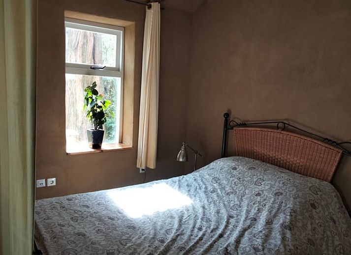 Prachtig landschap rondom Vakantiehuisje in Vierhuizen, Noordwest Groningen, met velden en bomen.