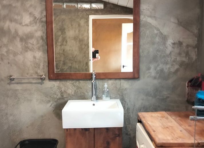 Prachtig landschap rondom Vakantiehuisje in Vierhuizen, Noordwest Groningen, met velden en bomen.