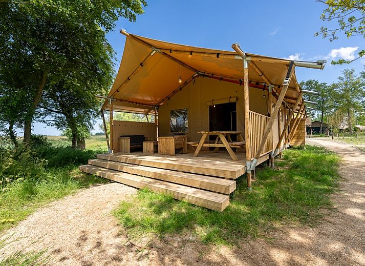 Veranda of Safari Tent 8 in Vierhuizen, Groningen, overlooking nature and other glamping lodges.