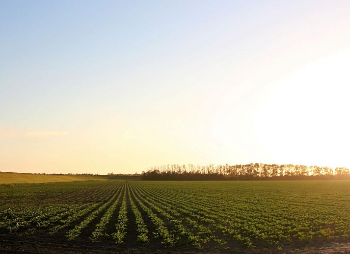 Moderne Kueche im Ferienhaus mit Sauna, gelegen in Vierhuizen, Nordwest Groningen.