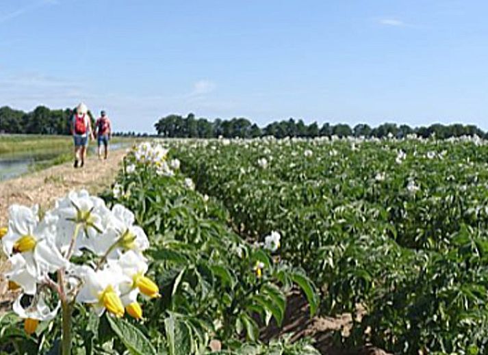 Comfortabele tweepersoonskamer in Vakantiehuisje in Molenrij, ideaal voor een ontspannen verblijf.