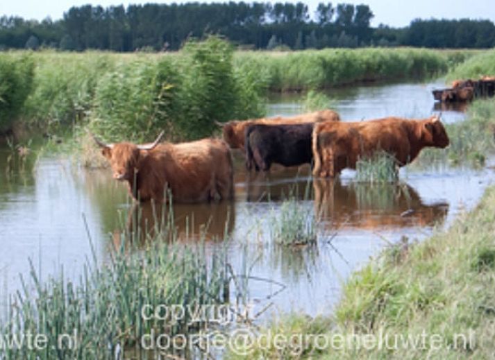 Comfortabele tweepersoonskamer in Vakantiehuisje in Molenrij, ideaal voor een ontspannen verblijf.