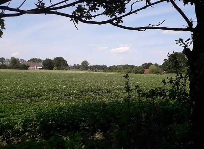 Unterkunft 350105 - Ferienhaus Zuidoost Groningen - Vakantiehuisje in Ter Apel