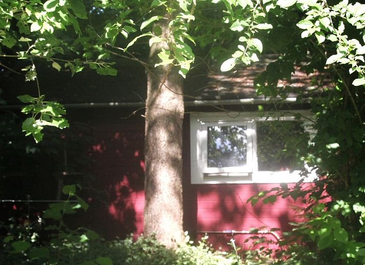 Unterkunft 350117 - Ferienhaus Zuidoost Groningen - Retraitehuisje Westerwolde