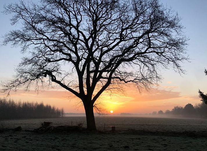 Unterkunft 350304 - Ferienhaus Zuidoost Groningen - Huisje in Vriescheloo