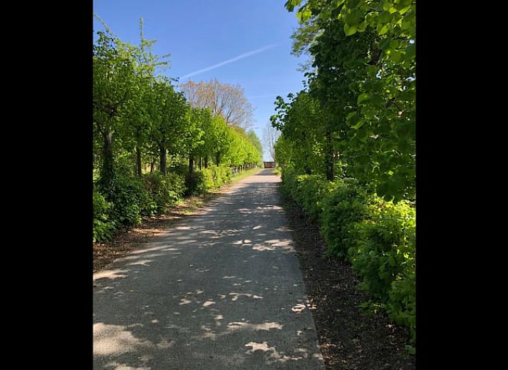 Unterkunft 350304 - Ferienhaus Zuidoost Groningen - Huisje in Vriescheloo