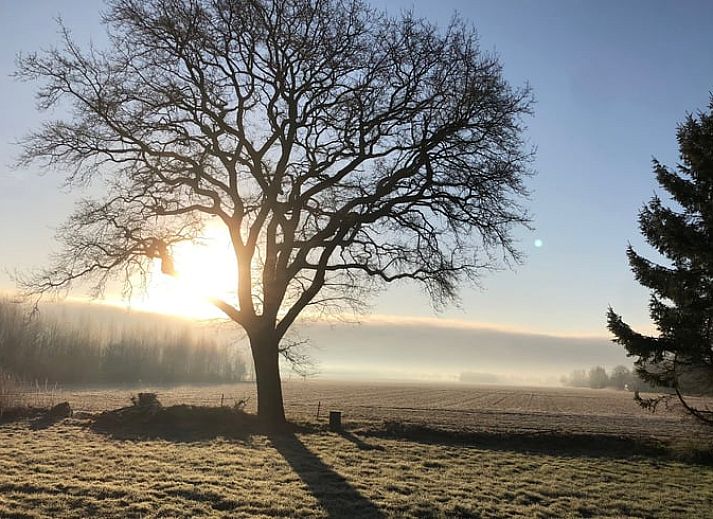 Unterkunft 350304 - Ferienhaus Zuidoost Groningen - Huisje in Vriescheloo