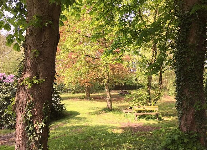 Vakantiehuisje in Vriescheloo, omringd door weelderige natuur in Zuidoost Groningen, ideaal voor een serene vakantie in een groene omgeving.