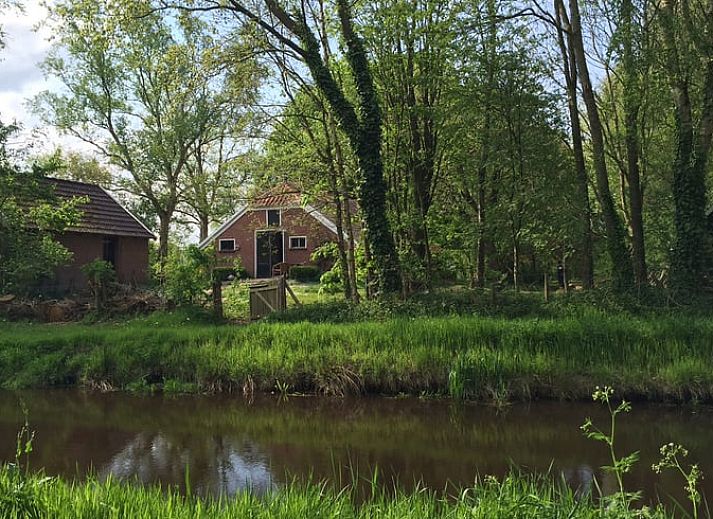 Rustieke toegangspad naar Vakantiehuisje in Vriescheloo, verscholen in het bosrijke landschap van Zuidoost Groningen, perfect voor natuurliefhebbers.