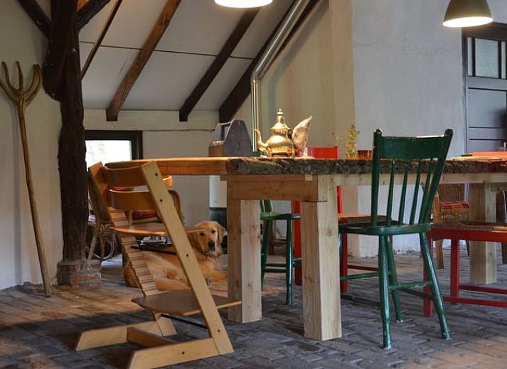 Zonsondergang bij Vakantiehuisje in Vriescheloo, Zuidoost Groningen, met een schilderachtig bospad en warme kleuren voor een idyllisch verblijf.