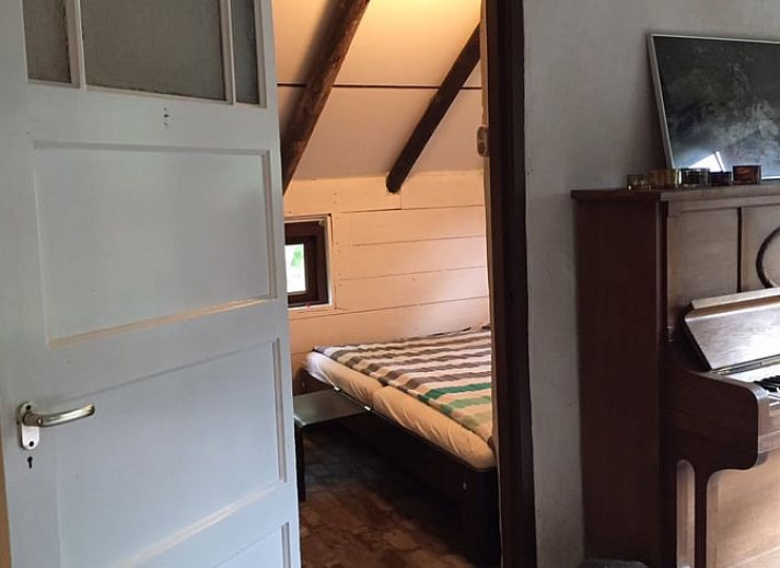 Groene tuin met zitbank bij Vakantiehuisje in Vriescheloo, Zuidoost Groningen, biedt een vredige plek om te ontspannen te midden van de natuur.