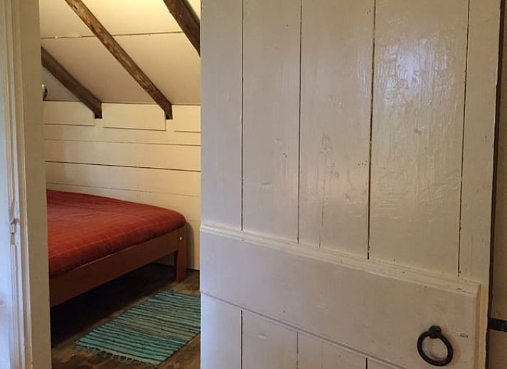 Groene tuin met zitbank bij Vakantiehuisje in Vriescheloo, Zuidoost Groningen, biedt een vredige plek om te ontspannen te midden van de natuur.