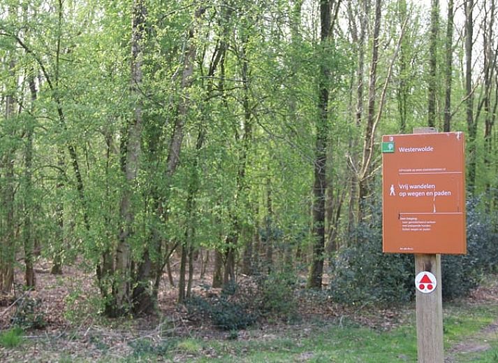 Houten schuur en bloeiende struiken bij Vakantiehuisje in Vriescheloo, Zuidoost Groningen, accentueren de landelijke charme van deze vakantiewoning.