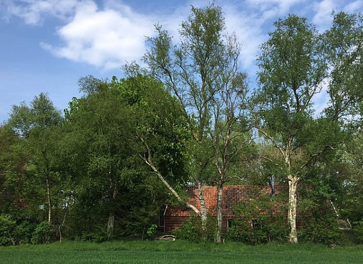 Houten schuur en bloeiende struiken bij Vakantiehuisje in Vriescheloo, Zuidoost Groningen, accentueren de landelijke charme van deze vakantiewoning.
