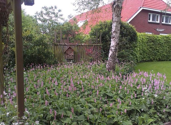 Verblijf 350310 - Vakantiewoning Zuidoost Groningen - Huisje in Vriescheloo