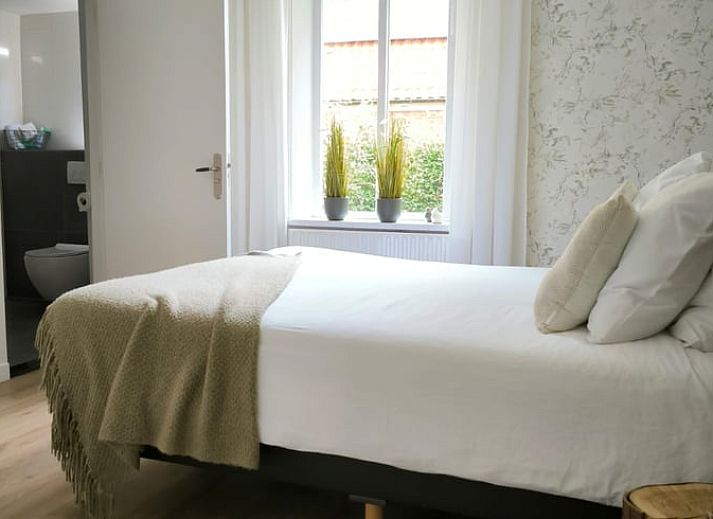 Unterkunft 350313 - Ferienhaus Zuidoost Groningen - Huisje in Vriescheloo