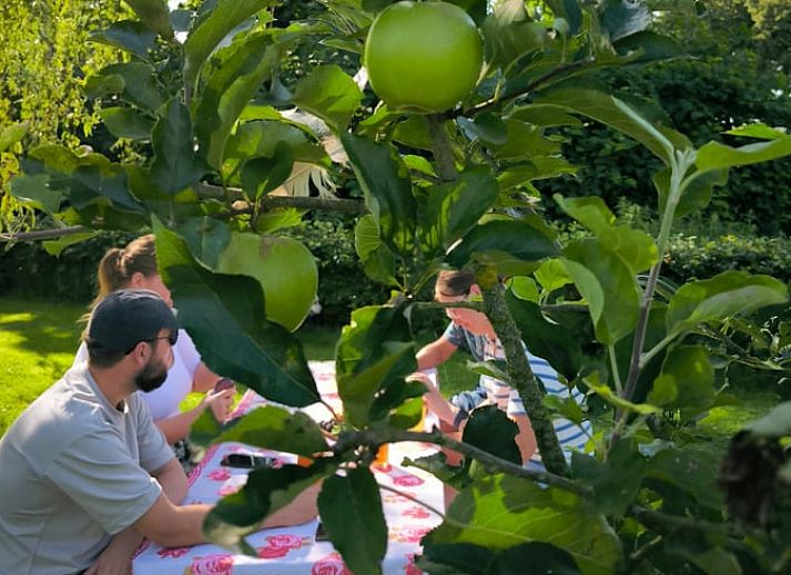 Unterkunft 350313 - Ferienhaus Zuidoost Groningen - Huisje in Vriescheloo