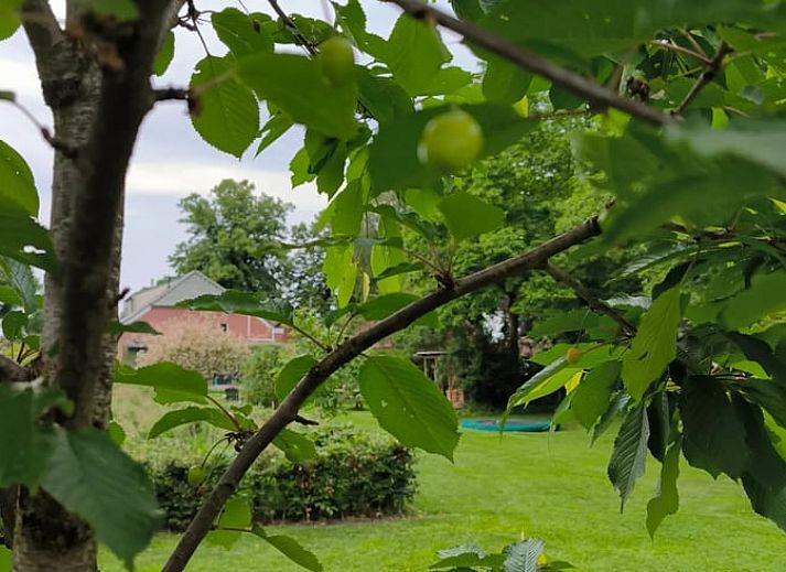 Unterkunft 350313 - Ferienhaus Zuidoost Groningen - Huisje in Vriescheloo