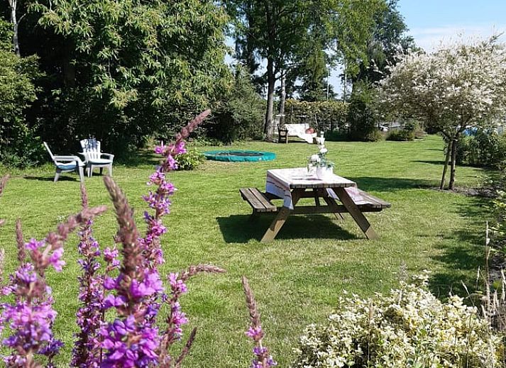 Unterkunft 350313 - Ferienhaus Zuidoost Groningen - Huisje in Vriescheloo