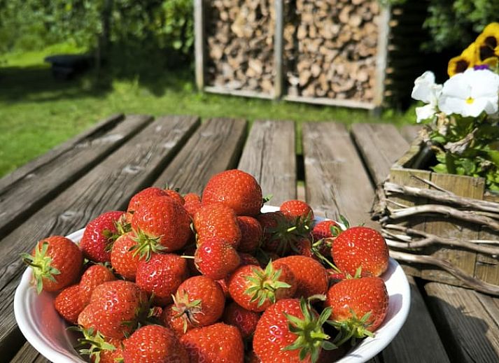 Unterkunft 350313 - Ferienhaus Zuidoost Groningen - Huisje in Vriescheloo