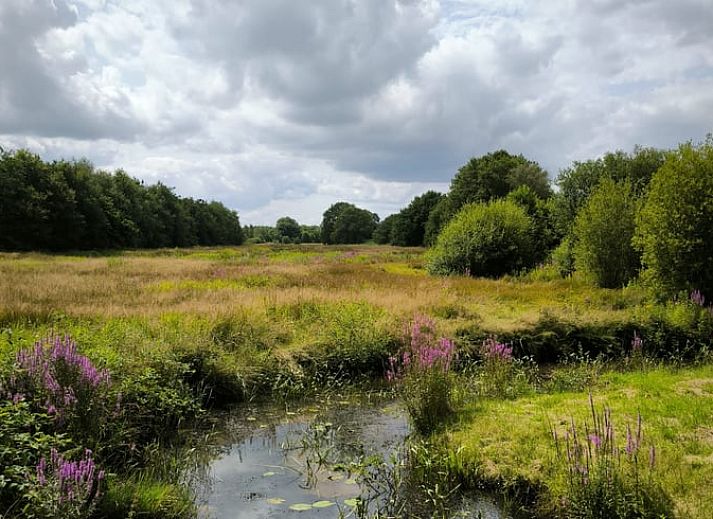 Unterkunft 350313 - Ferienhaus Zuidoost Groningen - Huisje in Vriescheloo