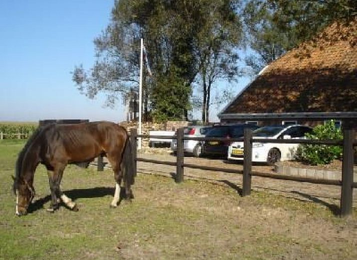 Verblijf 350317 - Vakantiewoning Zuidoost Groningen - Vakantiehuis Gemütlicher Ferienhof Loosternest in Vrieschel