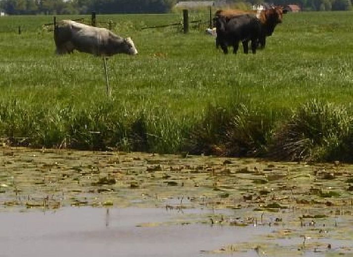Verblijf 350317 - Vakantiewoning Zuidoost Groningen - Vakantiehuis Gemütlicher Ferienhof Loosternest in Vrieschel