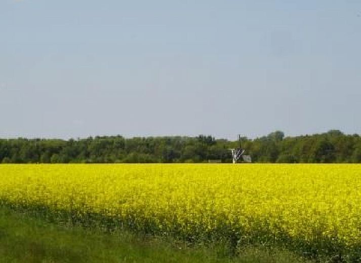 Verblijf 350317 - Vakantiewoning Zuidoost Groningen - Vakantiehuis Gemütlicher Ferienhof Loosternest in Vrieschel