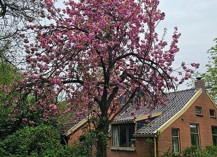 Guest house 350409 • Holiday property Zuidoost Groningen • Huisje in Bellingwolde