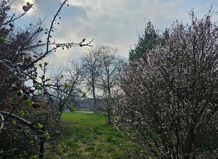 Gemuetlicher Innenraum mit Blick auf die Natur in einem Cottage in Bellingwolde, im Suedosten von Groningen.