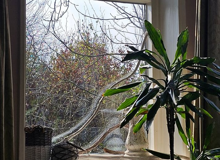 Gemuetlicher Innenraum mit Blick auf die Natur in einem Cottage in Bellingwolde, im Suedosten von Groningen.