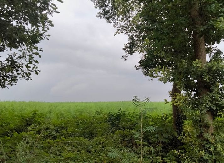 Geraeumiges Esszimmer im Ferienhaus Cottage in Bourtange, ideal fuer Gruppenessen im Suedosten von Groningen.