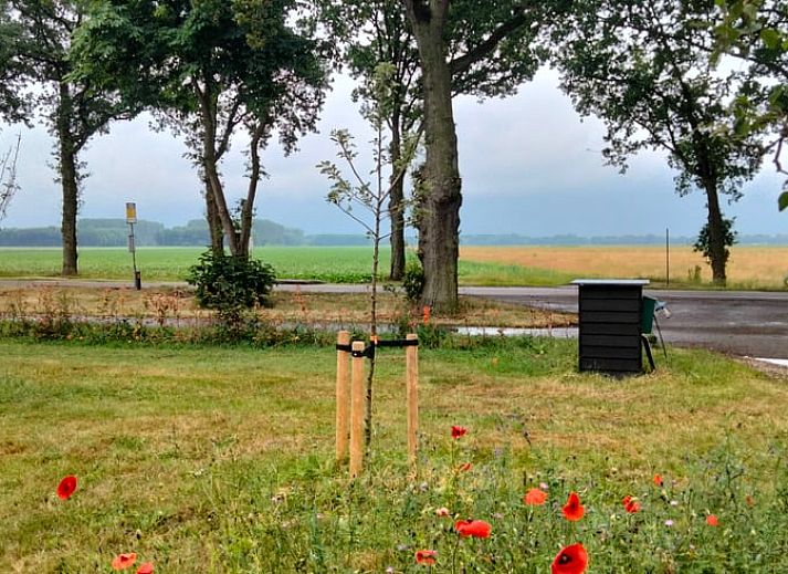 Geraeumiges Esszimmer im Ferienhaus Cottage in Bourtange, ideal fuer Gruppenessen im Suedosten von Groningen.