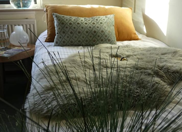 Gemuetliche Leseecke im Ferienhaus in Bourtange, perfekt fuer Entspannung in Groningen.