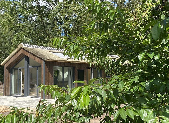 Guest house 350617 • Holiday property Zuidoost Groningen • Vrijstaande woning in Sellingen