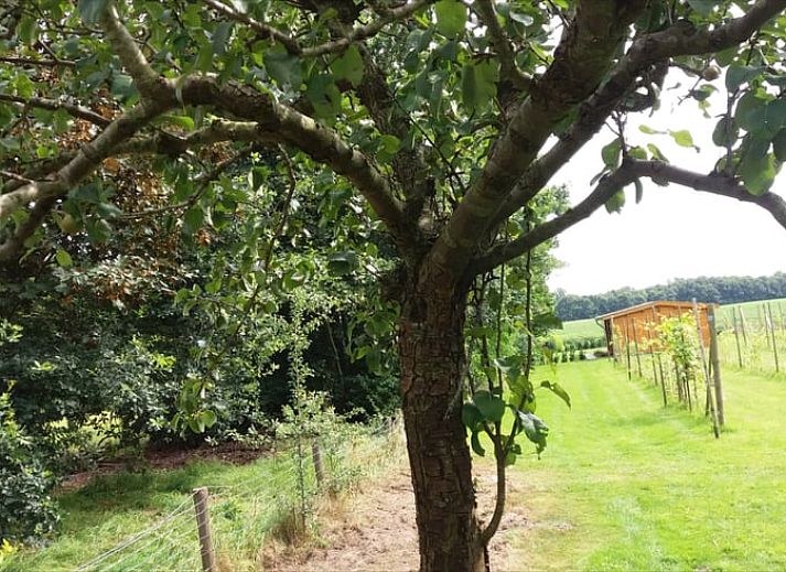 Unterkunft 350625 - Ferienhaus Zuidoost Groningen - Vakantiehuis in Sellingen